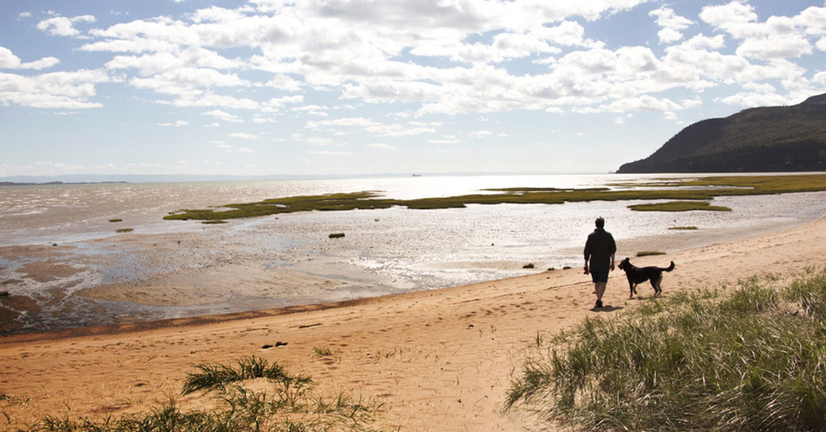 Baie-Saint-Paul beach